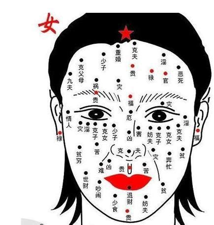 獅子鼻女人|【獅子鼻女人】獅子鼻女人的面相命理解析：事業心強、愛情專一。